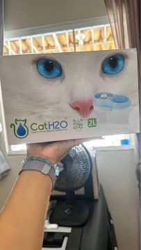Bebedouro para Gato CatH2O 2 Litros 220w- Novo