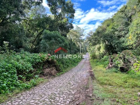 Lote em Rua 3 - Alpes - São Francisco de Paula/RS