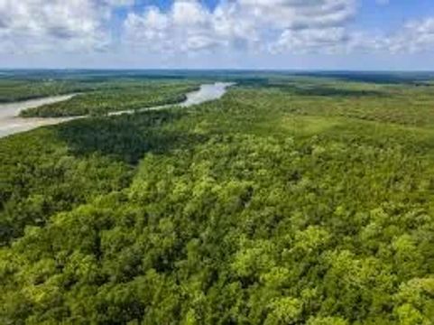 Área de 105.855 hectares no Tapauá   52.926.000