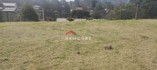 Lote em Rua caminho das ovelhas - Serra Velha - São Francisco de Paula/RS