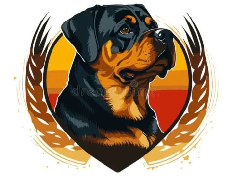 Rottweiler Alemão Filhote Razza Pura, Cabeça de Touro 