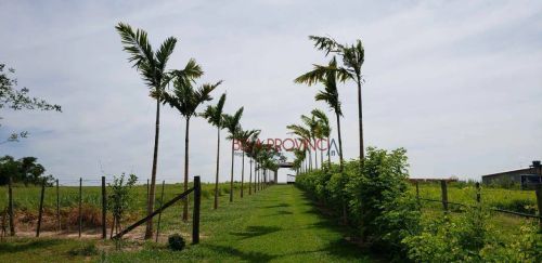 Sítio com 2 dormitórios à venda, 60000 m² por R$ 950.000,00 - Centro - Anhumas/SP