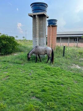 Sítio com casa sede e área verde