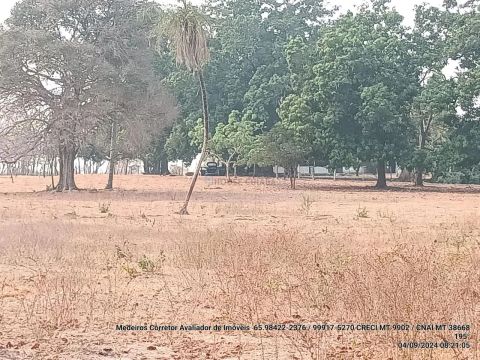 Fazendinha com 100 hectares 15 minutos do trevo do lagarto, na região da comunid
