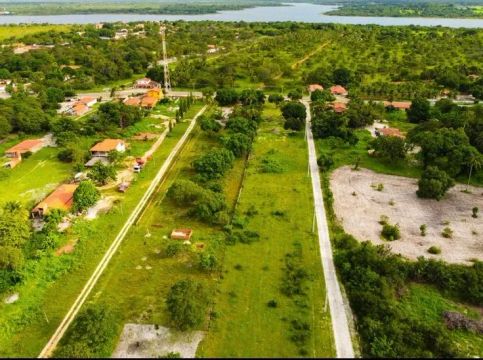 LOTES EM PINDORETAMA