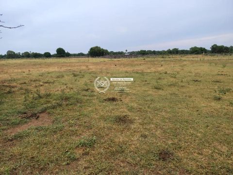Faz. Nhecolândia- MS- 7.400 HA. Próx. ao Leilão Novo Horizonte