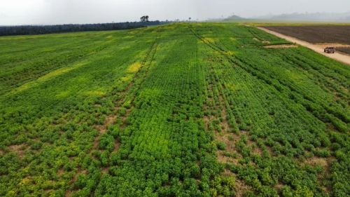 Fazendas pra agricultura e pecuária