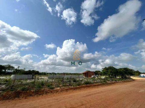 Terreno à venda, 16500 m² por R$ 1.000.000,00 - Zona Rural - Pindoretama/CE