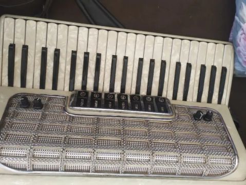 Sanfona ( Acordeon ) 120 baixo polina