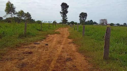 SÍTIO DE 14 ALQUEIRES - TODO PLANO - COM CASA