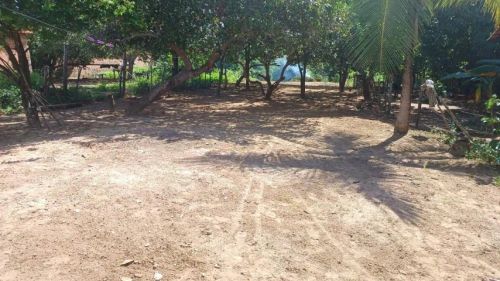 Terreno a venda ao lado da cervejaria Heineken no Povoado Soledade, Caxias Maranhão