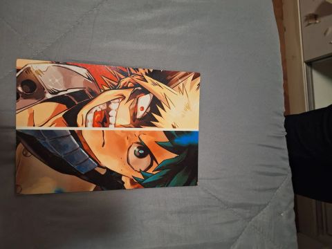 Quadro boku no hero