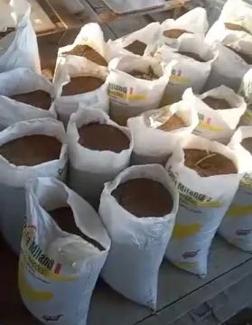 Esterco Adubo Orgânico Galinha 