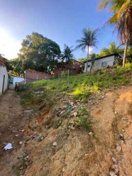 Terreno/ Lote 8x20 Fragoso Olinda