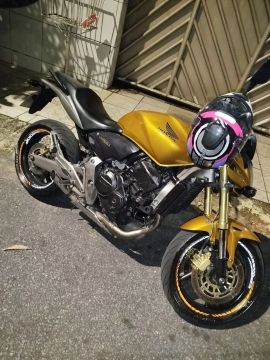 Hornet 2009