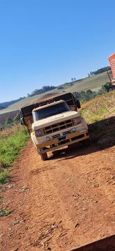Caminhão DODGE/950