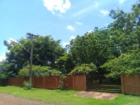 Chácara 10 hectares em C.Grande - Vendo ou Alugo
