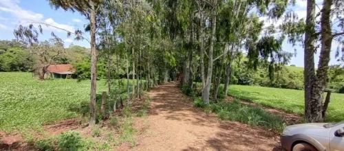 Sítio 10,5 alqueires - Região Bandeirantes Pr - Bairro Santa Rita - 