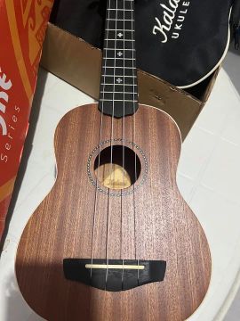 Ukulele