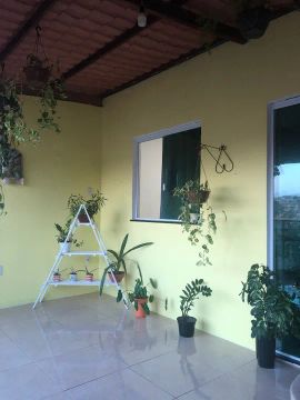 Aluguel Casa em Plataforma 