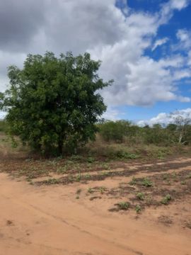 Terreno à venda - 30x30: 900m² em Capim Grosso - BA