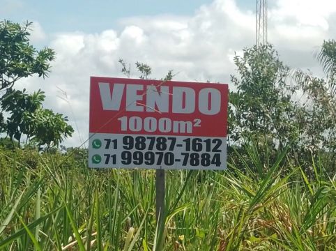 Terreno