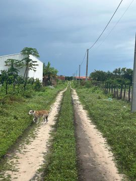 Terreno Praia Barra da Sucatinga Beberibe 