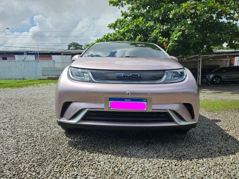 BYD DOLPHIN Usados e Novos