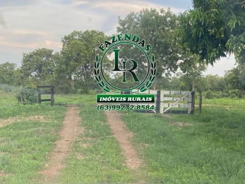 Fazenda 38 Alqueires Tocantins