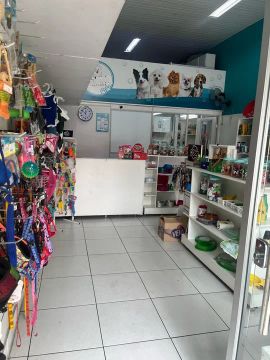 Vendo petshop montado ou passo o ponto