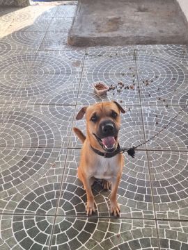 Doação