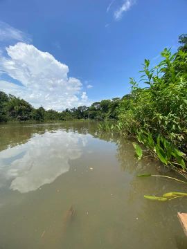  Ágil de Chácara individual - acesso ao lago - Luzimangues! 