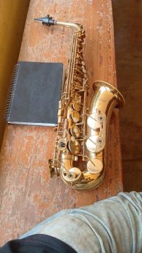 Saxofone Alto em Ótimo Estado