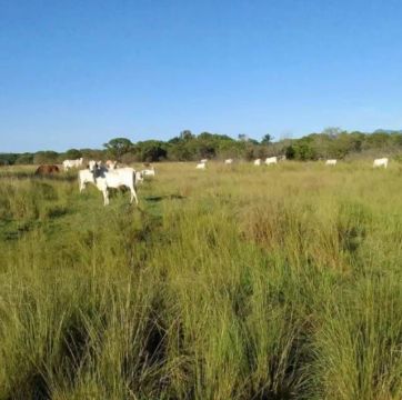 14 alqueires planos em Seropedica-RJ
