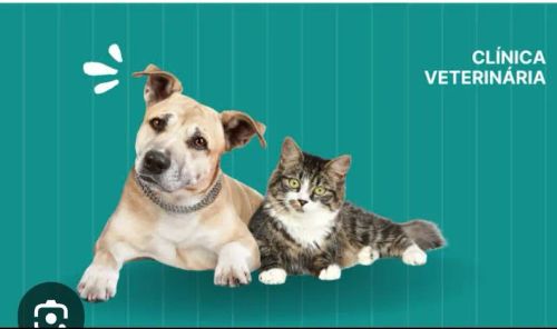 Alugo ponto comercial clínica veterinária 