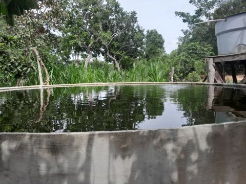 20 alqueires em Divinopolis do Tocantins