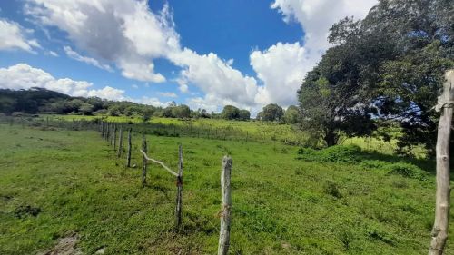 Vende-se fazenda com 353 tarefas com água em abundância em Catú/Ba