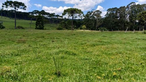 Terreno urbano para venda com 2383 m² no bairro Belo Horizonte - Campo Alegre - SC