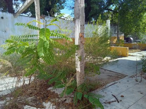 Terreno-VILA NOVA-PORTO ALEGRE