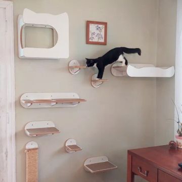 Playground Para Gatos