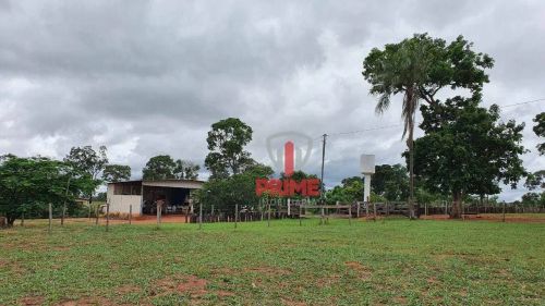 Fazenda à venda em Anhandiu próximo à Campo Grande no MS. Com 127,3 hectares, toda em past