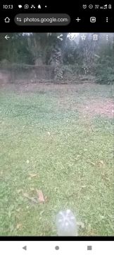 VENDO ESTE TERRENO EM NOVA IGUAÇU TINGUA 60 MIL REAIS 