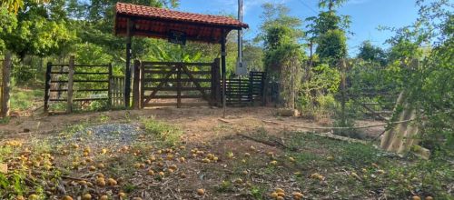 Terreno com água e energia,5 hectares,28 km Major Prates!!Permuta por casa!!