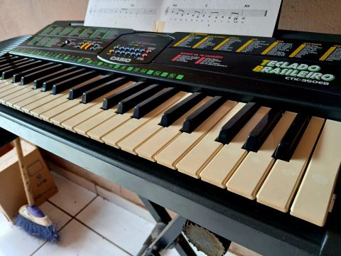Teclado Casio Ctk-350eb