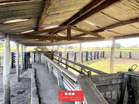 Fazenda para Venda em Corumbá