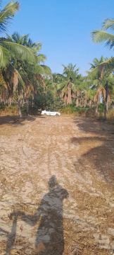 Terreno 10×40 dez minutos da praia de mundau 16 da praia de flecheiras localizado em canaa