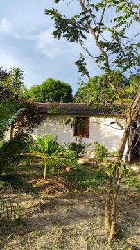 Sítio com casa e pomar em área verde