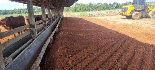 *OPORTUNIDADE PARA INVESTIDORES - FAZ. ESTRUTURADA NA BEIRA DA BR 364 - PORTO VELHO*