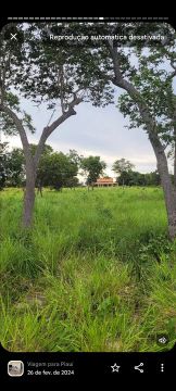 Vendo propriedade fazenda em gilbues piaui 