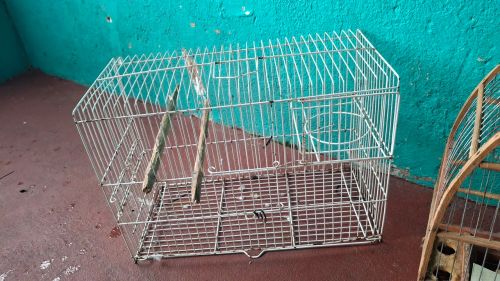 Gaiola R$100 as 2 juntas, separada R$70